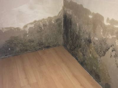 Home 4 defekte horizontalsperre